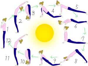 ヨガポーズ 太陽礼拝 の効果は大きく３つ 最強と言わしめる理由 マグノリアのカエル